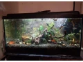 akvarium-100l-small-0