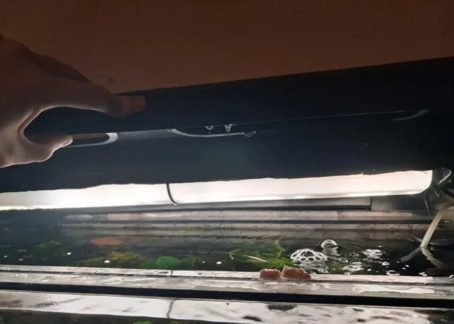 akvarium-100l-big-1