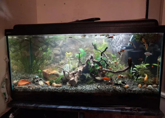 akvarium-100l-big-0