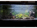 akvarium-small-0