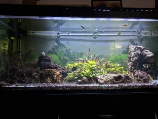 akvarium
