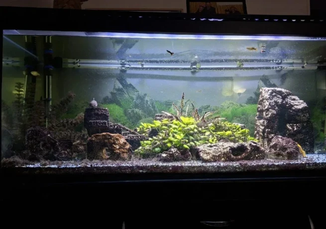 akvarium-big-0