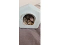 skrecky-small-2