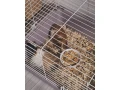 morcata-small-0