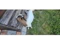 predam-capka-small-3