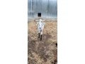 capko-s-kozickou-small-0