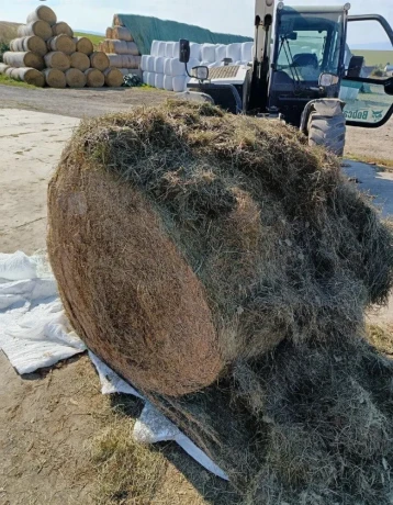 seno-400-kg-big-0