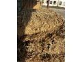 seno-krmoviny-lucerna-small-3