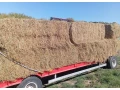 predam-lucernu-seno-small-1