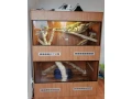 terarium-130x100x170-small-0