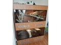 terarium-130x100x170-small-1