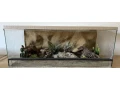 terarium-100x50x40-s-3d-stenou-small-2