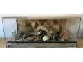 terarium-100x50x40-s-3d-stenou-small-0