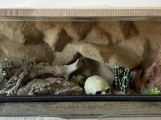 terarium-100x50x40-s-3d-stenou