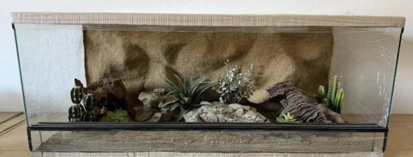 terarium-100x50x40-s-3d-stenou-big-2