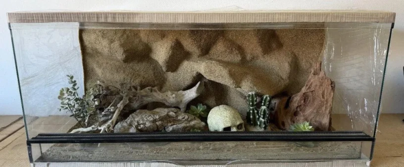 terarium-100x50x40-s-3d-stenou-big-0