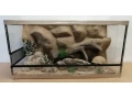 terarium-80x40x40-s-3d-stenou-small-3