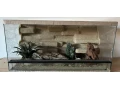 terarium-80x40x40-s-3d-stenou-small-0