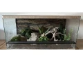terarium-80x40x40-s-3d-stenou-small-2