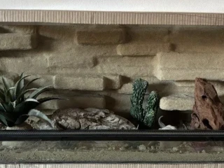 terarium-80x40x40-s-3d-stenou