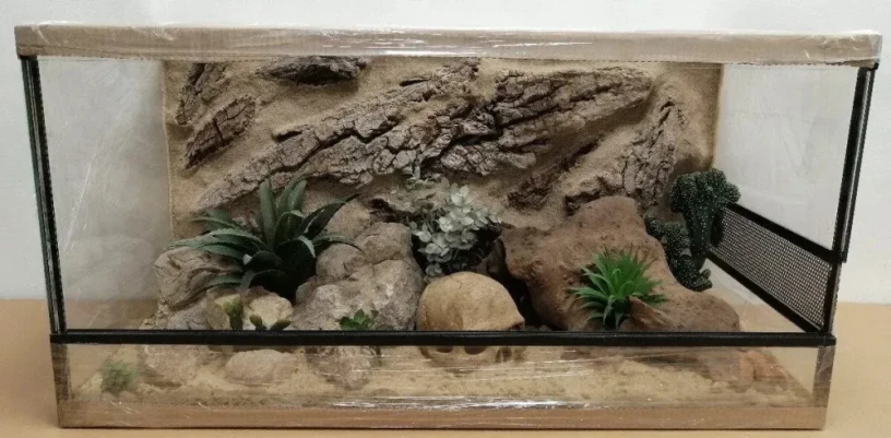 terarium-80x40x40-s-3d-stenou-big-4