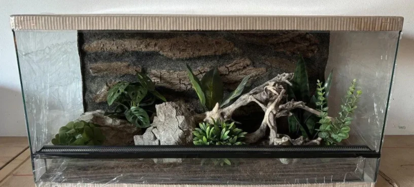 terarium-80x40x40-s-3d-stenou-big-2