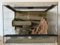 terarium-50x40x40-s-3d-stenou-small-0