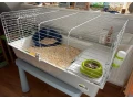 klietka-pre-male-hlodavce-small-1
