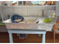 klietka-pre-male-hlodavce-small-2