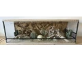 terarium-120x50x40-s-3d-stenou-small-0