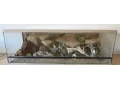 terarium-120x50x40-s-3d-stenou-small-4