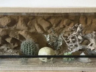 terarium-120x50x40-s-3d-stenou