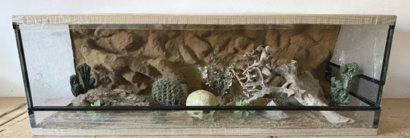 terarium-120x50x40-s-3d-stenou-big-0