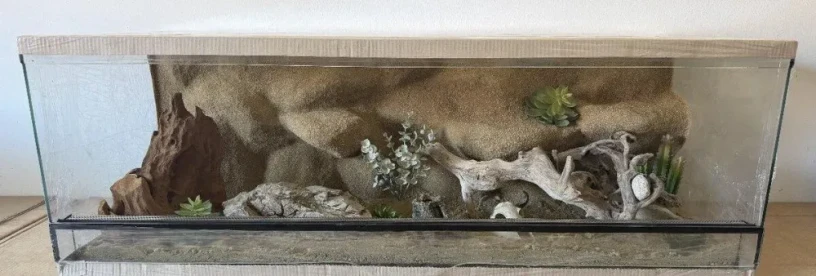 terarium-120x50x40-s-3d-stenou-big-4