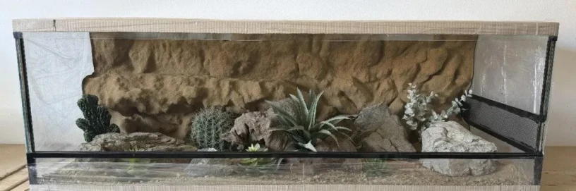 terarium-120x50x40-s-3d-stenou-big-2