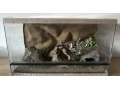 terarium-70x40x40-s-3d-stenou-small-0