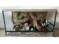 terarium-70x40x40-s-3d-stenou-small-2