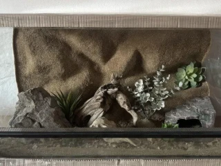 terarium-70x40x40-s-3d-stenou