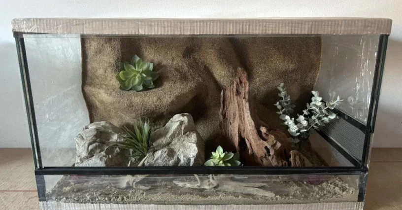 terarium-70x40x40-s-3d-stenou-big-2