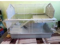 klietka-pre-kralika-morca-small-0
