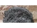 slnecnica-small-0