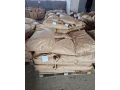 slnecnica-small-1