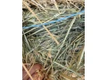 seno-slama-small-2