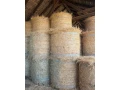 seno-slama-small-0