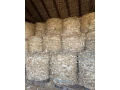seno-slama-small-1