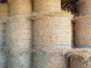 seno-slama