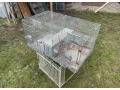 predam-chovne-klietky-cincila-kralik-prepelica-small-0