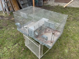 predam-chovne-klietky-cincila-kralik-prepelica