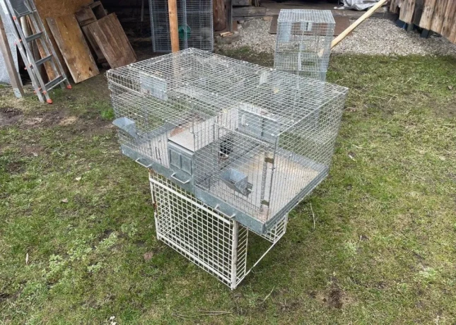 predam-chovne-klietky-cincila-kralik-prepelica-big-2