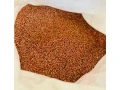 osivo-psenica-fuzacka-morena-small-0